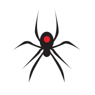 BW Spider Logo